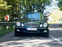 autowp.ru_mercedes-benz_e350_estate_7.jpg