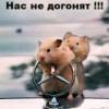 имам едно питане - последно мнение от icolambow